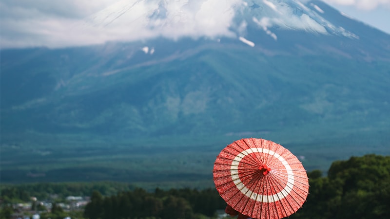 半夏生とは?意味・由来・2026年の日付と食べ物・風習までやさしく解説