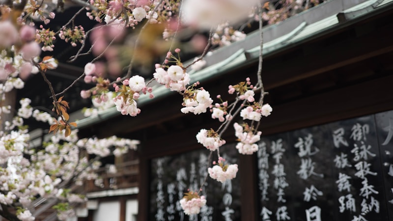 半夏生とは?意味・由来・2026年の日付と食べ物・風習までやさしく解説