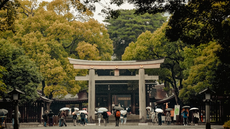 夏越の祓とは？意味・由来・2026年の日程と茅の輪くぐりの作法をやさしく解説