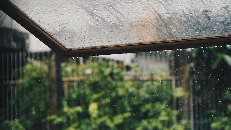 梅雨対策をやさしく始める完全ガイド｜部屋干し・湿気・カビ・髪のうねりまでまとめて解決