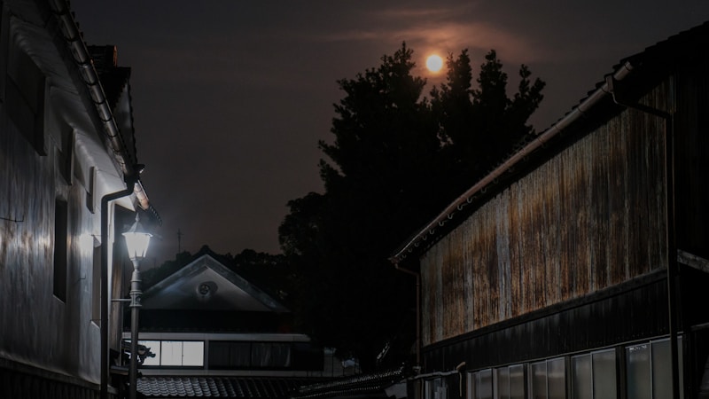 十三夜とは？意味・由来・2026年の日付と楽しみ方をやさしく解説